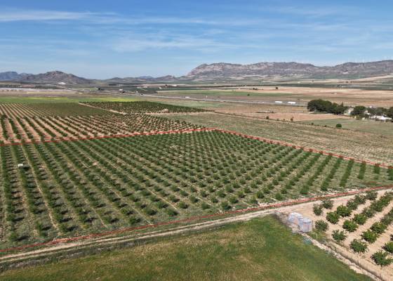 Land - Revente - Yecla - Yecla Murcia