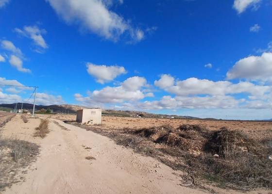 Land - Revente - Yecla - Yecla