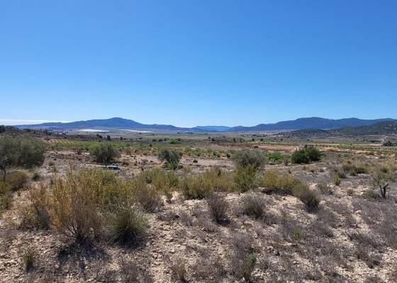 Land - Venta - Monovar - LYD-97226