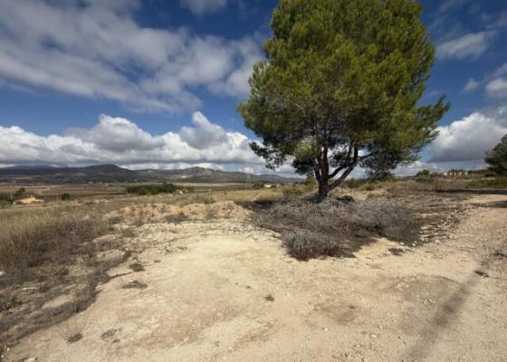 Land - Venta - Monovar - Monovar