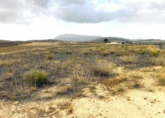 Land - Venta - Torre del Rico - CS-73437