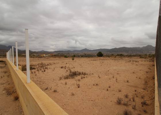 Land - Wederverkoop - Abanilla - ET-43268