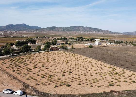 Land - Wederverkoop - Pinoso - 