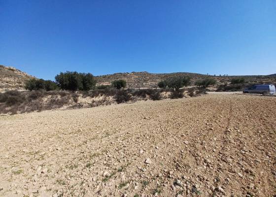 Land - Wederverkoop - Pinoso - 