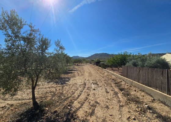 Land - Wederverkoop - Salinas - Salinas