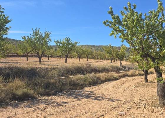 Land - Wederverkoop - Salinas - Salinas