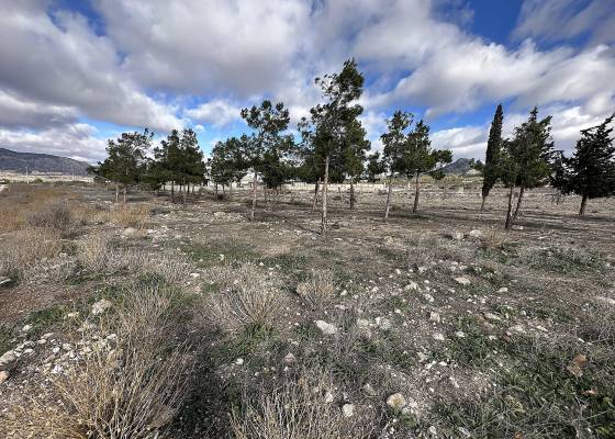 Land - Wederverkoop - Salinas - Salinas
