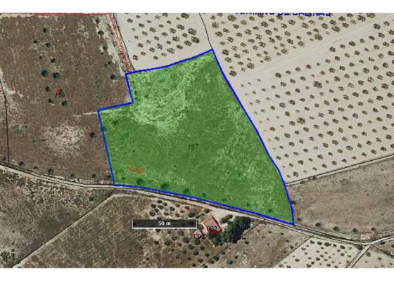 Land - Wederverkoop - Salinas - Salinas