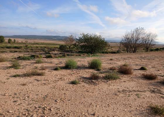 Land - Wederverkoop - Yecla - ET-66007