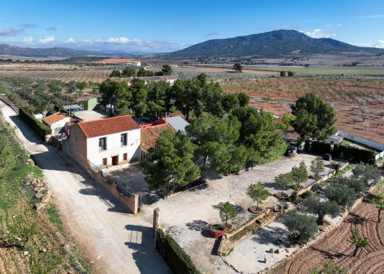Landhuis - Resale - Yecla - Yecla