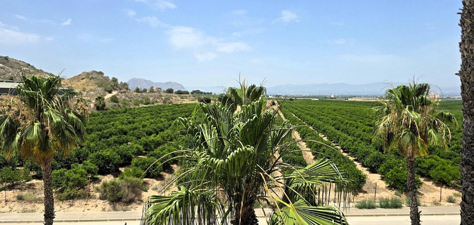 New Build - Apartment - Algorfa