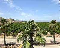 New Build - Apartment - Algorfa