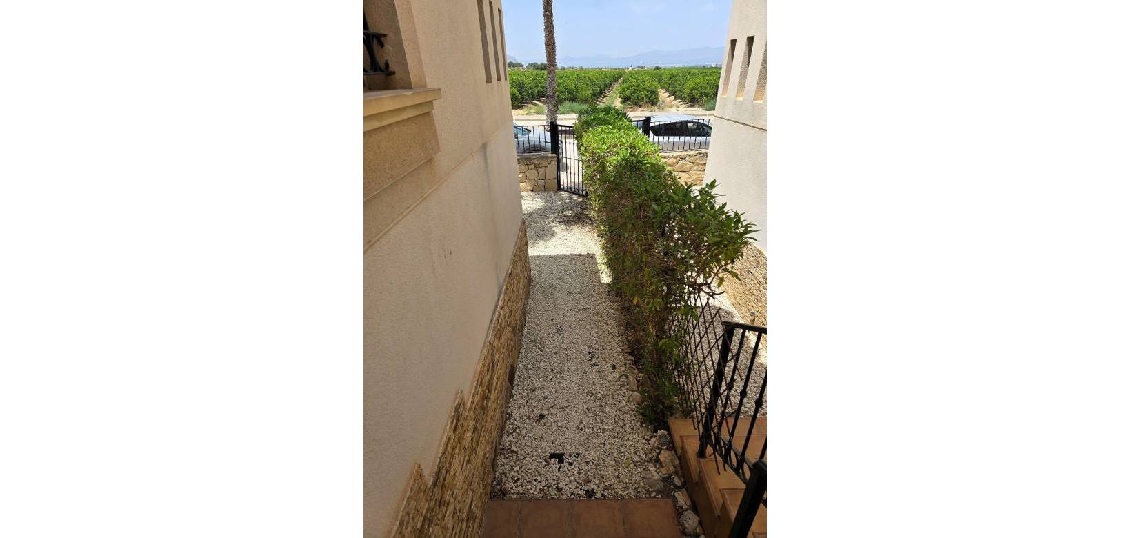 New Build - Apartment - Algorfa