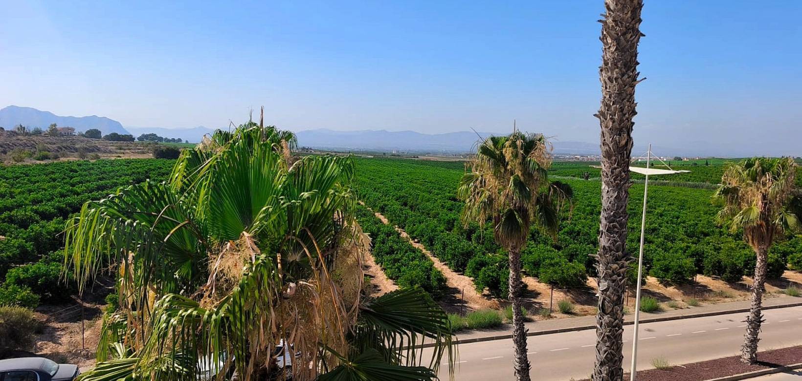 New Build - Apartment - Algorfa