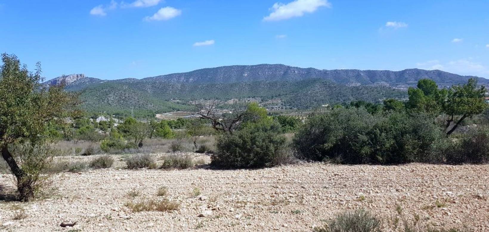 New Build - Detached villa - Monovar