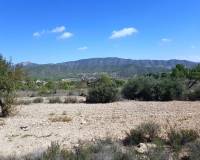 New Build - Detached villa - Monovar