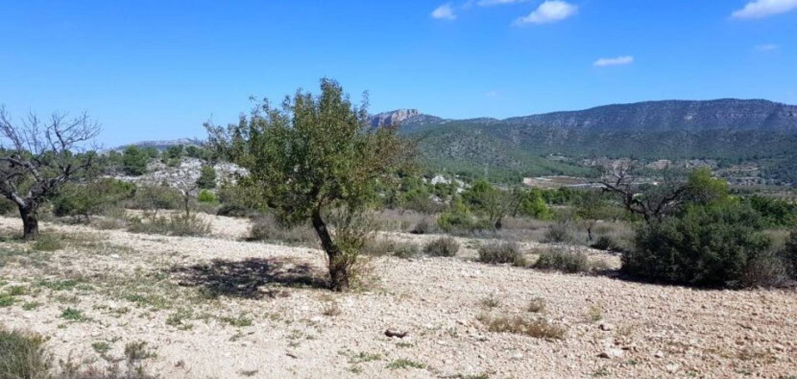 New Build - Detached villa - Monovar