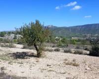 New Build - Detached villa - Monovar