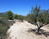 New Build - Detached villa - Monovar