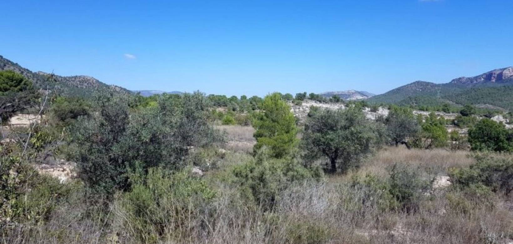 New Build - Detached villa - Monovar