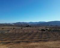 New Build - Detached villa - Pinoso