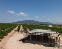 New Build - Detached villa - Pinoso