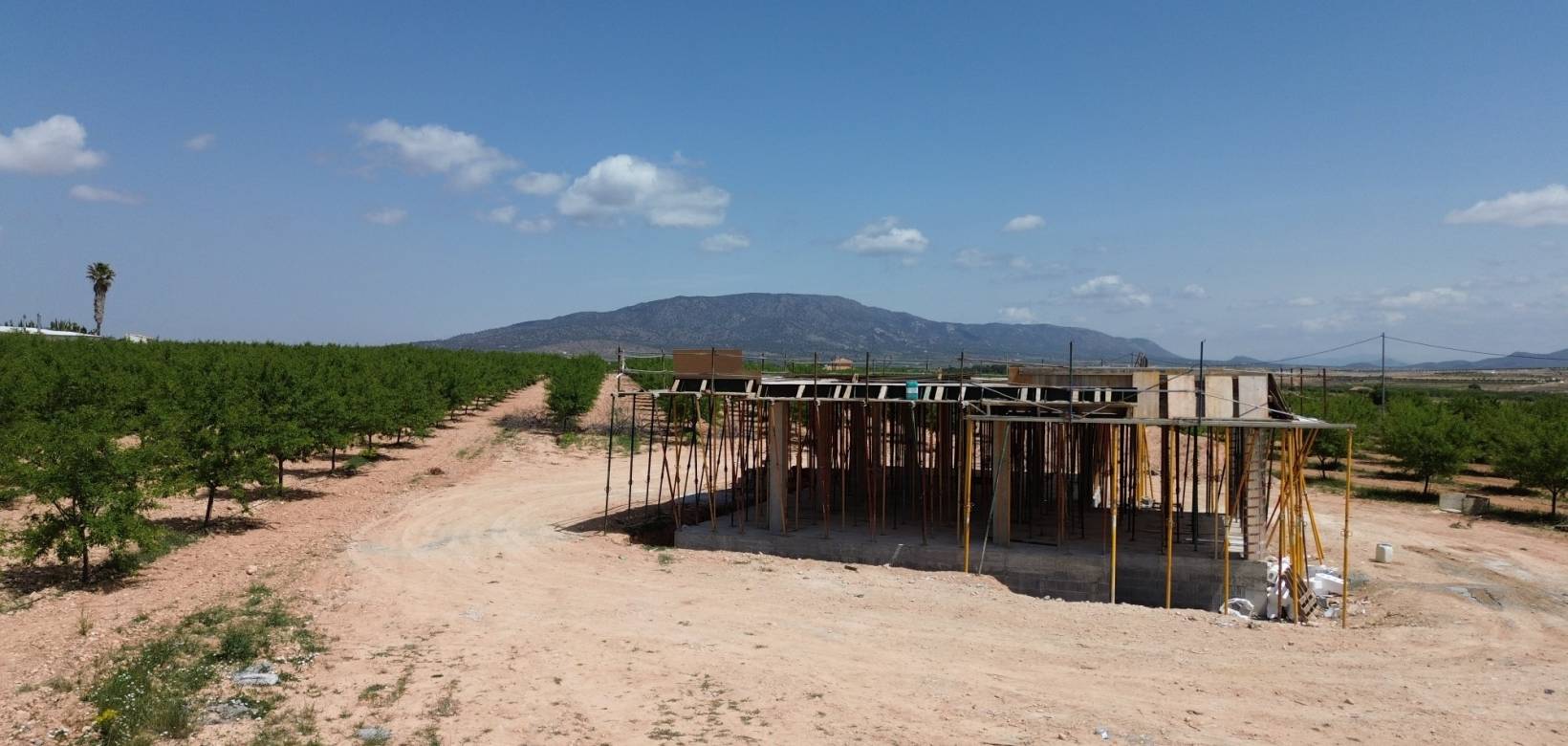 New Build - Detached villa - Pinoso