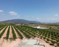 New Build - Detached villa - Pinoso