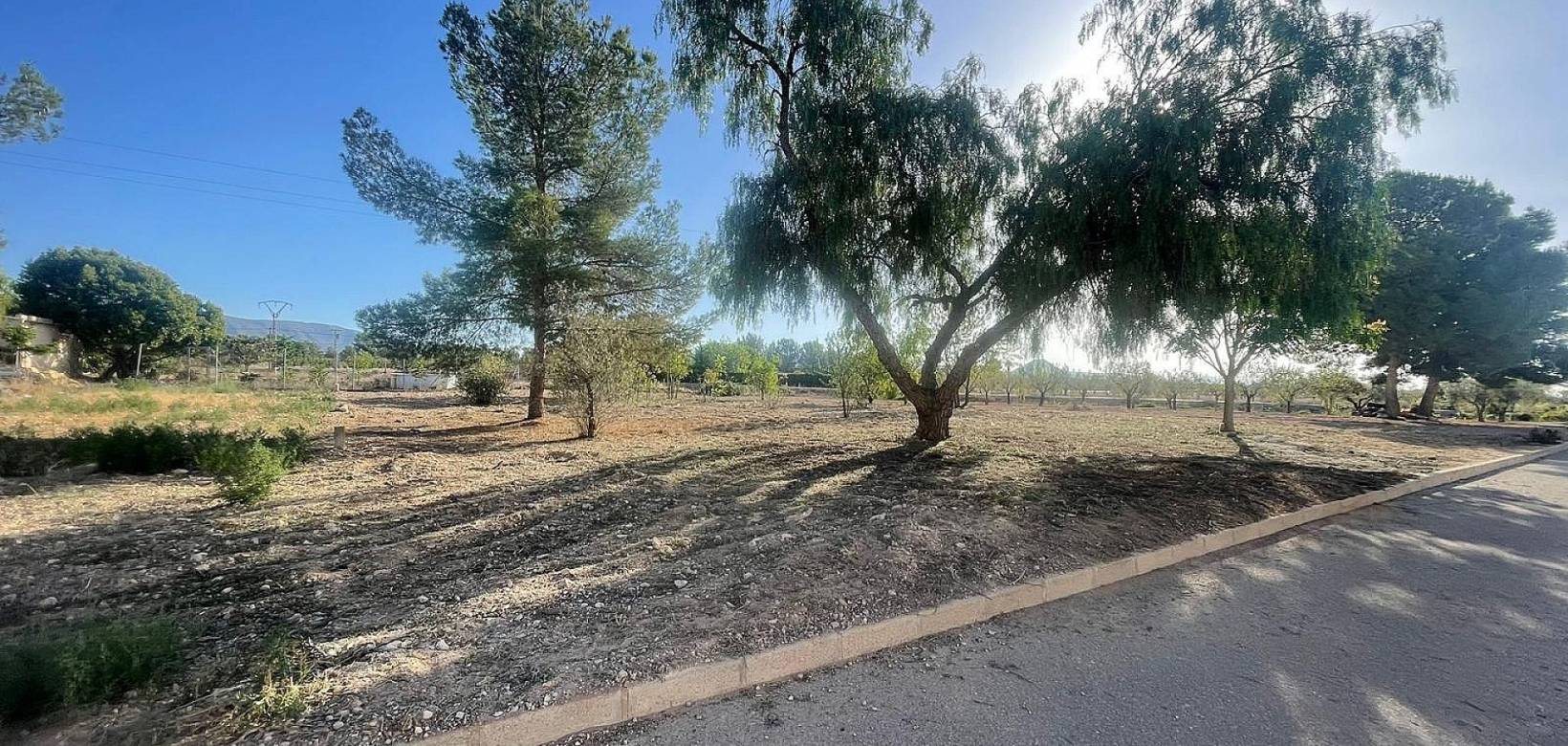 New Build - Land - Ubeda