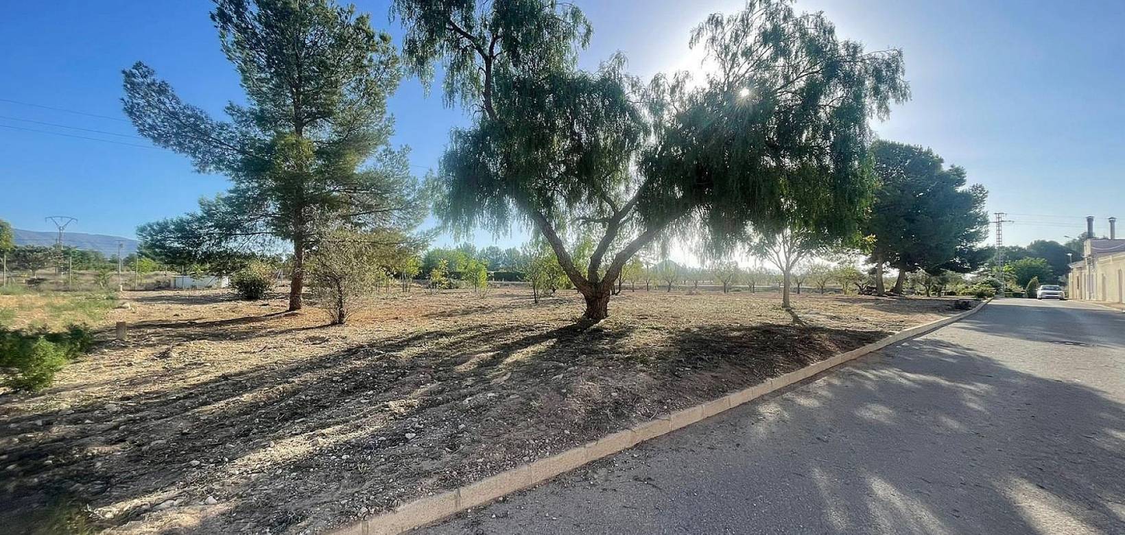 New Build - Land - Ubeda