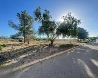 New Build - Land - Ubeda