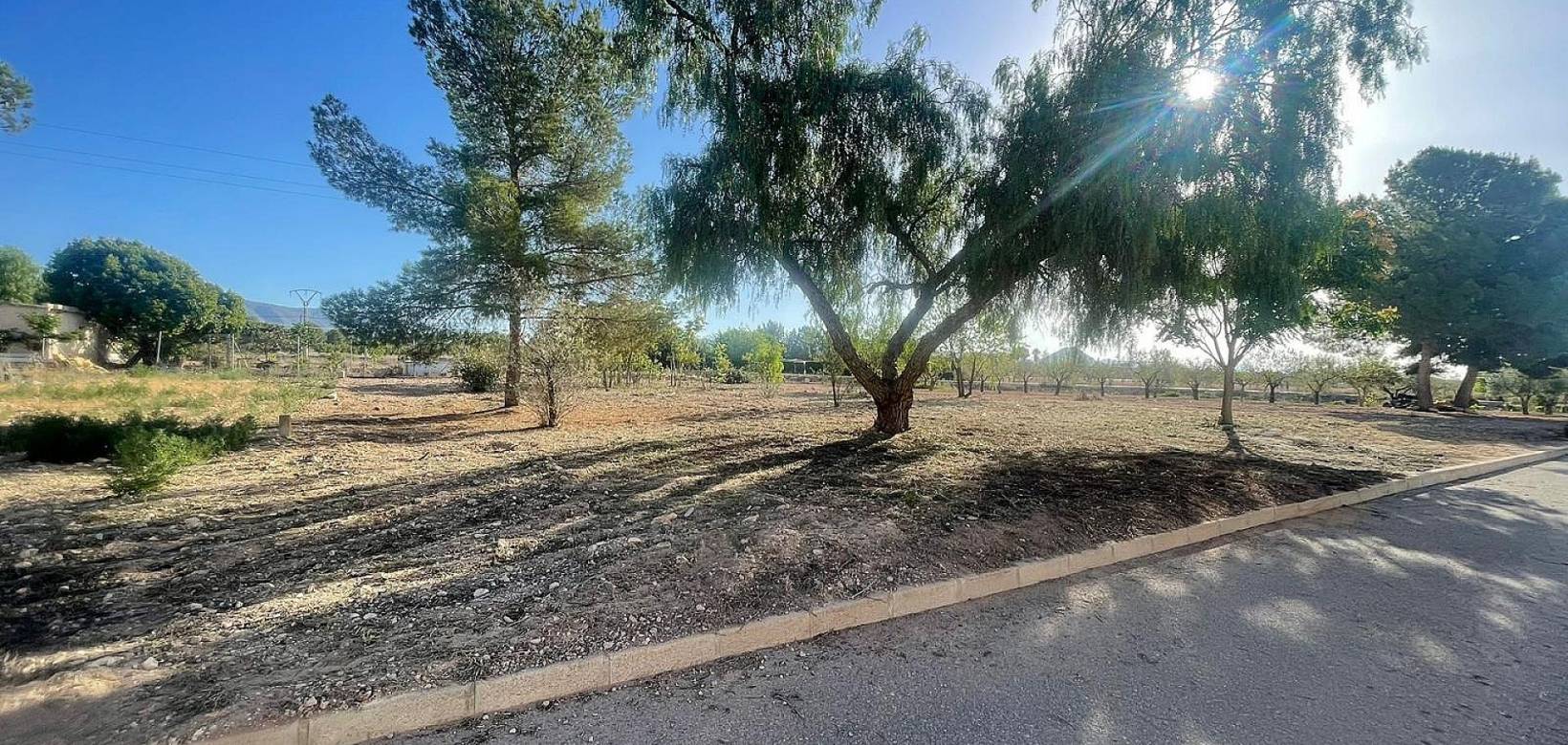 New Build - Land - Ubeda