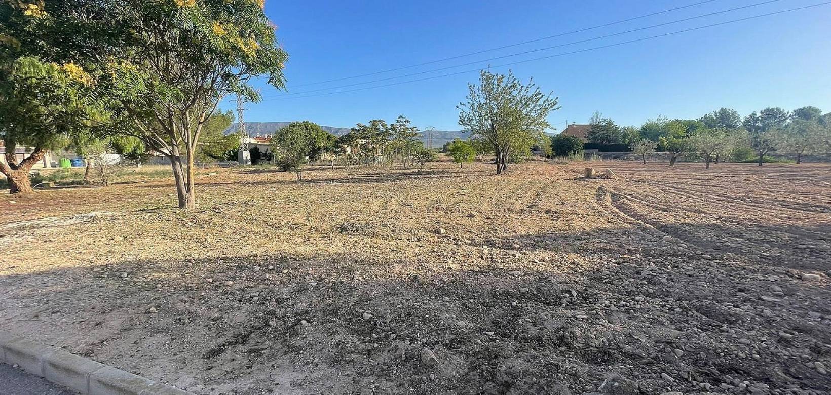 New Build - Land - Ubeda