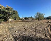 New Build - Land - Ubeda