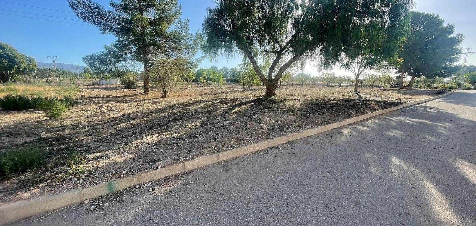 New Build - Land - Ubeda