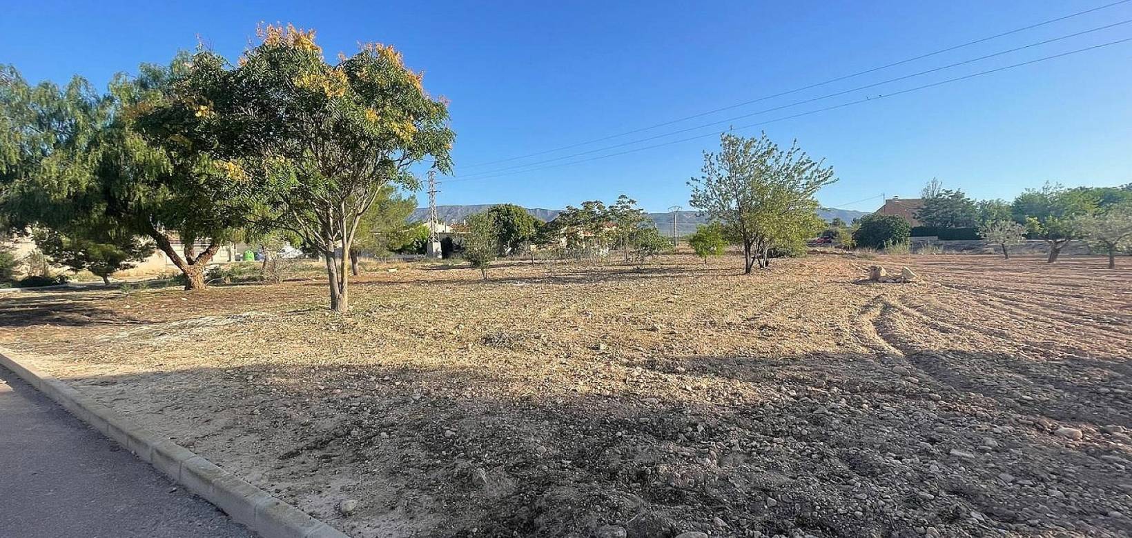 New Build - Land - Ubeda