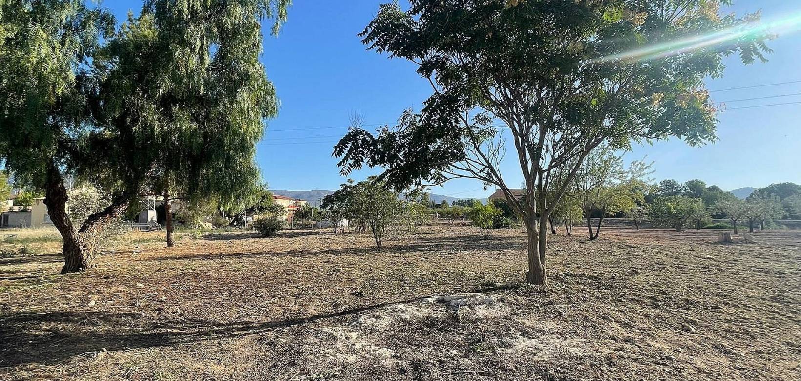 New Build - Land - Ubeda