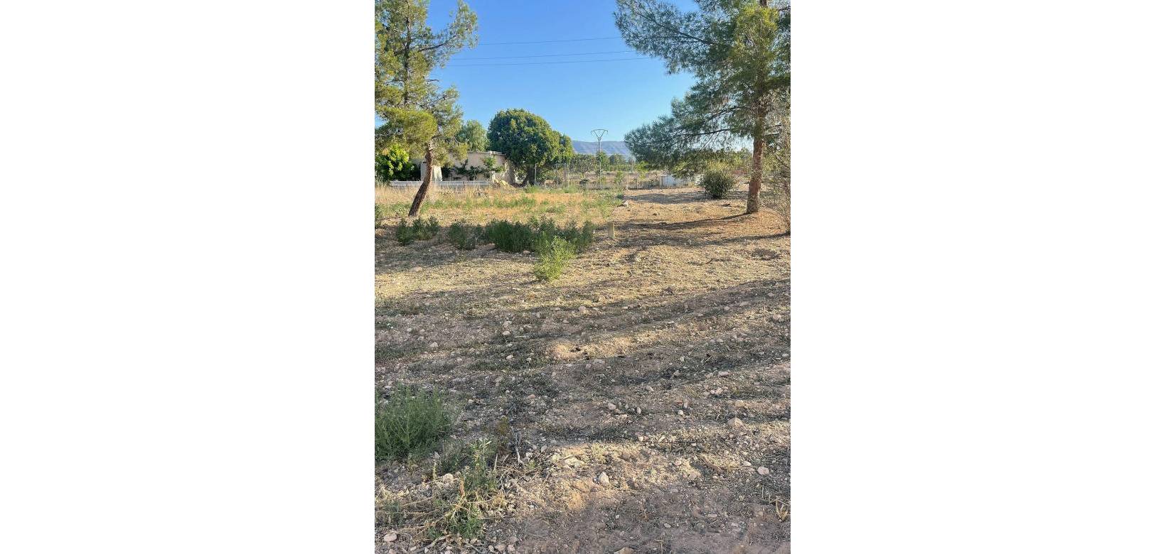 New Build - Land - Ubeda