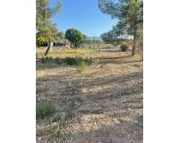 New Build - Land - Ubeda