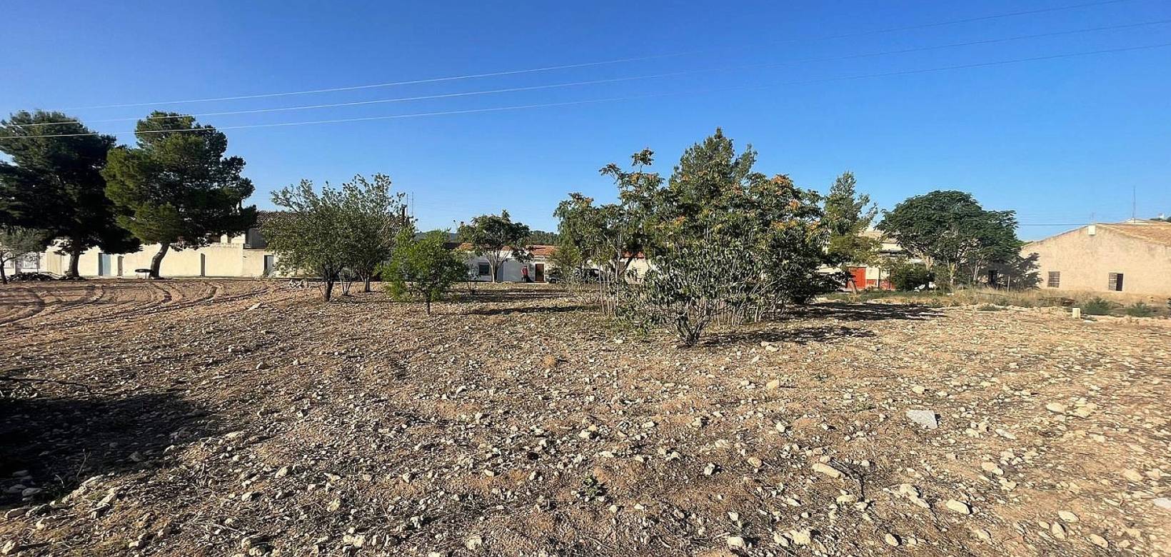 New Build - Land - Ubeda