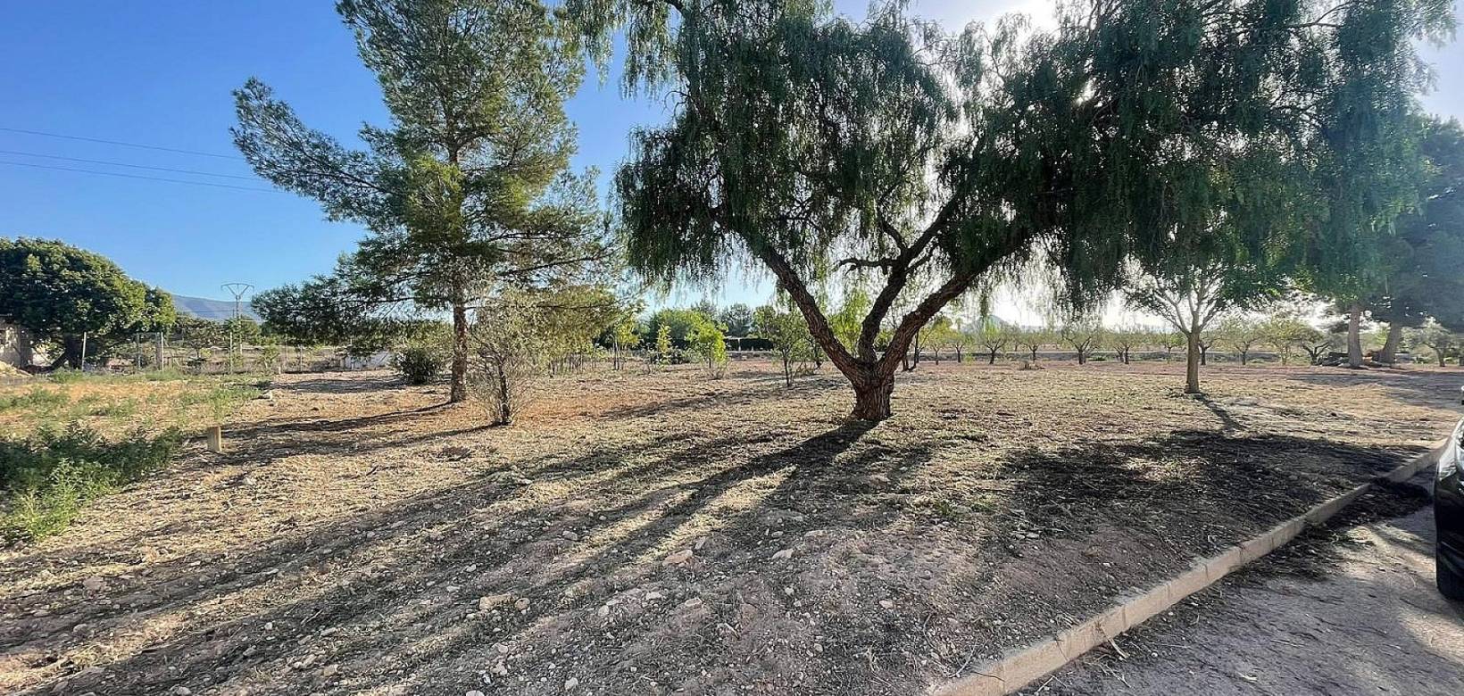 New Build - Land - Ubeda