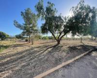 New Build - Land - Ubeda