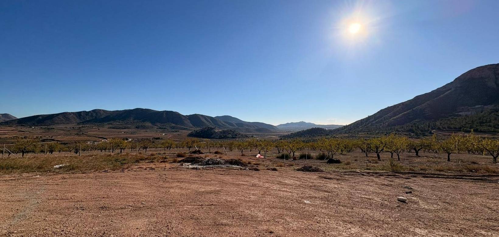 New Build - Villa - El Cantón - El Canton