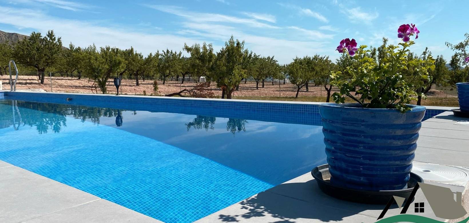 New Build - Villa - La Romana