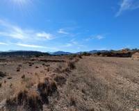 New Build - Villa - La Romana