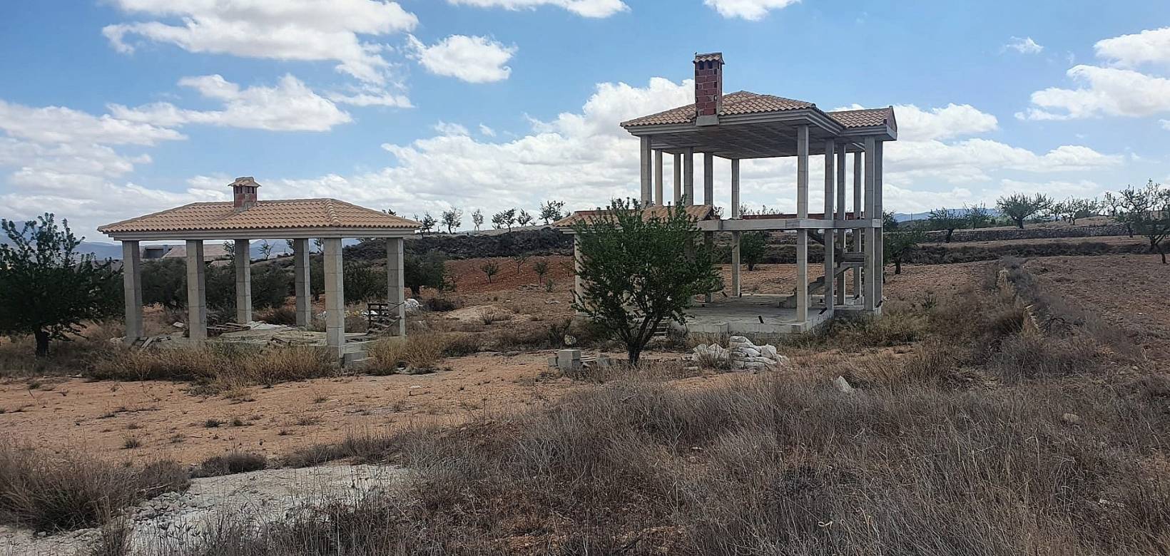 New Build - Villa - Pinoso