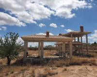 New Build - Villa - Pinoso