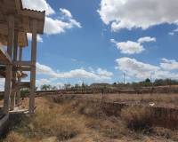 New Build - Villa - Pinoso