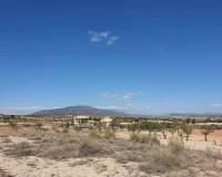 New Build - Villa - Pinoso