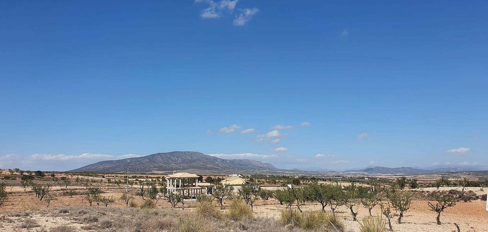 New Build - Villa - Pinoso